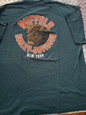 Harley-Davidson Teal Tee with Red and Cream Buffalo Graphic